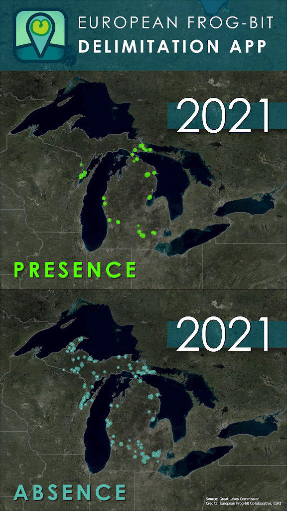Delimitation data over time
